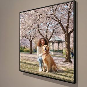 Wall Mount SEG 46" x 46"